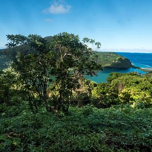 Bilder Nous, Tikopia