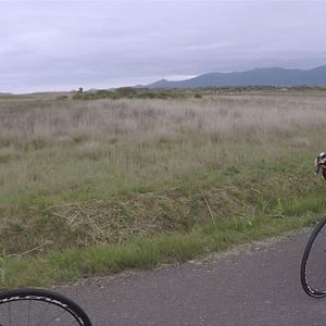 Bilder Todos los caminos