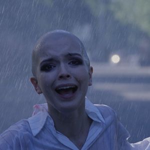 Bilder Stranniki Terpeniya