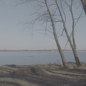 Bilder Odysseya Petra