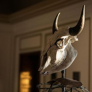 Bilder I Am The Night