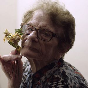 Bilder El Creador de Universos