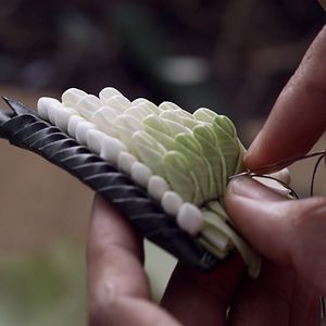 Bilder Malila: The Farewell Flower