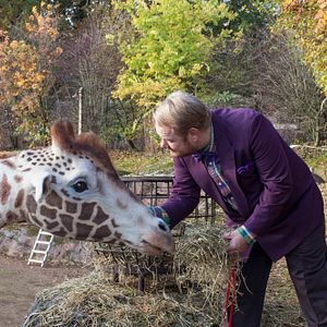 Bilder Mein Freund, die Giraffe