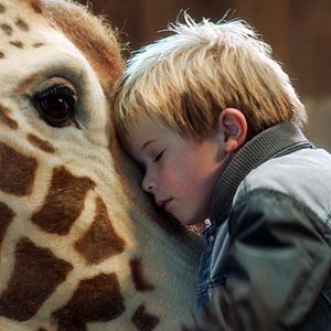 Bilder Mein Freund, die Giraffe