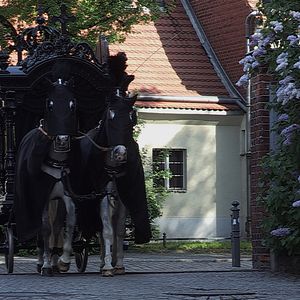 Bilder Komponistinnen