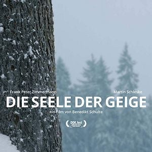 Bilder Die Seele der Geige