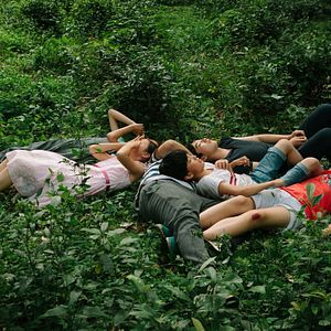 Bilder Jiao qu de niao