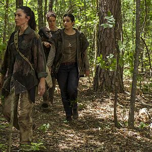 Bilder The Walking Dead