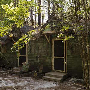 Bilder The Walking Dead