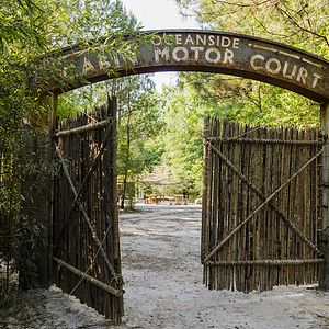 Bilder The Walking Dead