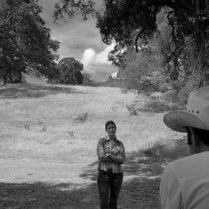 Bilder Sara Arrington