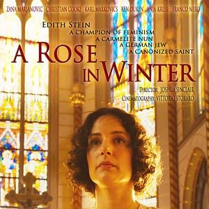 Bilder A Rose In Winter