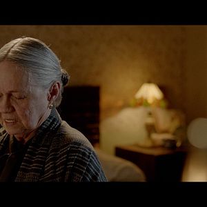 Bilder Cría puercos