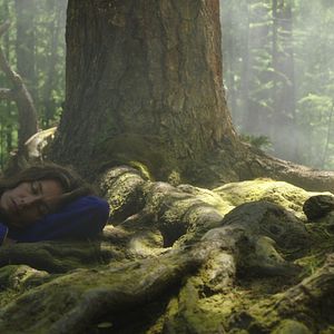 Bilder Cécile de France