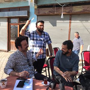 Bilder Koyver Gitsin