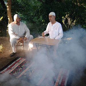 Bilder Koyver Gitsin