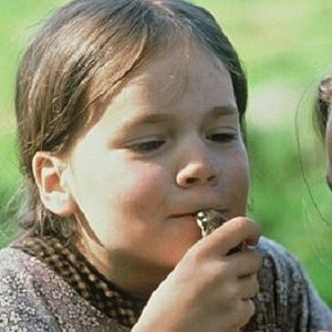 Bilder Linda Bergström