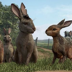 Bilder Watership Down - Unten am Fluss