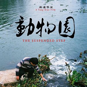 Bilder The Suspended Step