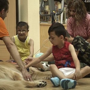 Bilder Unzertrennlich