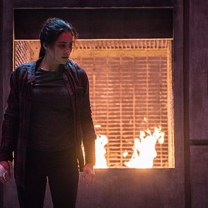 Bilder Shay Mitchell