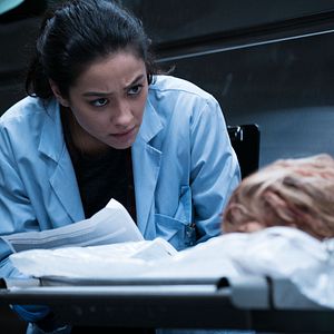 Bilder Shay Mitchell