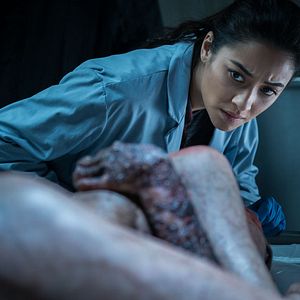 Bilder Shay Mitchell