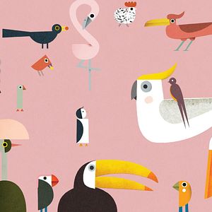 Bilder La Cabane aux oiseaux