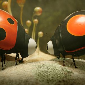 Bilder Die Winzlinge - Abenteuer in der Karibik