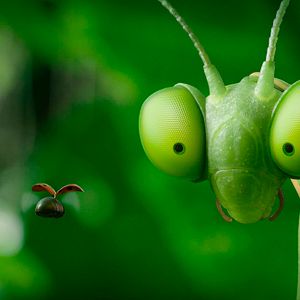 Bilder Die Winzlinge - Abenteuer in der Karibik