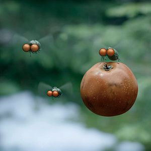 Bilder Die Winzlinge - Abenteuer in der Karibik