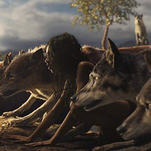 Bilder Rohan Chand (II)