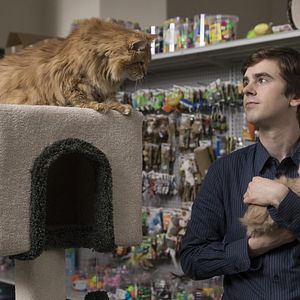 Bilder The Good Doctor