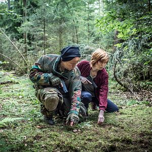 Bilder Die purpurnen Flüsse