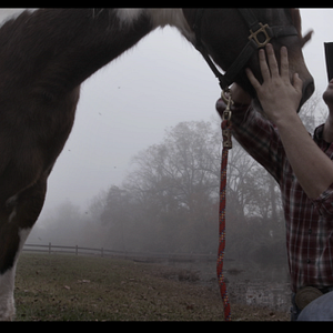 Bilder Unknown Distance