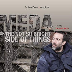 Bilder Meda Or The Not So Bright Side Of Things