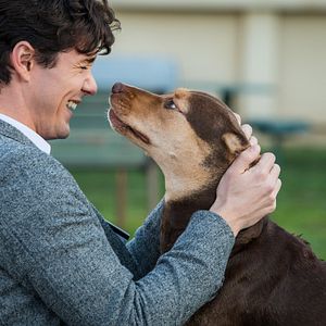 Bilder Die unglaublichen Abenteuer von Bella