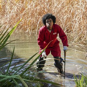 Bilder Diona Reasonover