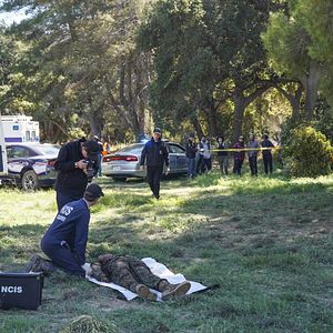 Bilder Brian Dietzen