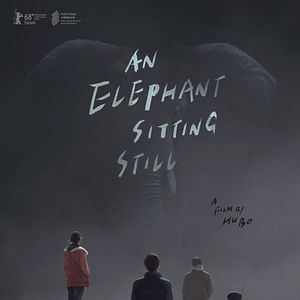 Bilder An Elephant Sitting Still