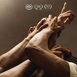 Bilder ﻿Shot in the Dark