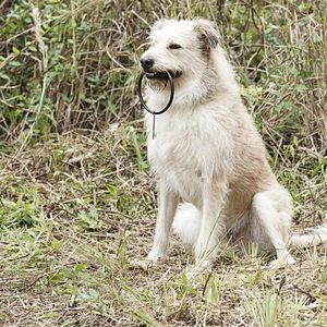 Bilder MacGyver (2016)