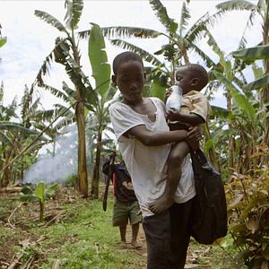 Bilder Food Evolution