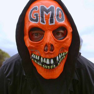 Bilder Food Evolution