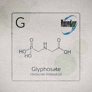 Bilder Food Evolution