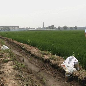 Bilder Letter from Masanjia