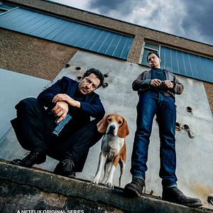 Bilder Dogs Of Berlin