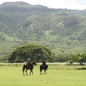 Bilder Terry O'Quinn