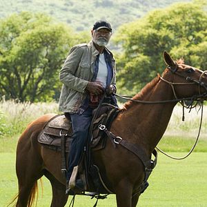 Bilder Terry O'Quinn